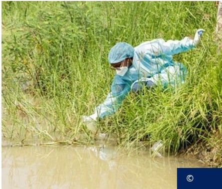 Cholera Ikomeje Kwica Benshi ku Isi ku Mwaka wa Kabiri Wikurikiranya nubwo Uburyo bwo Kuyirinda Buboneka