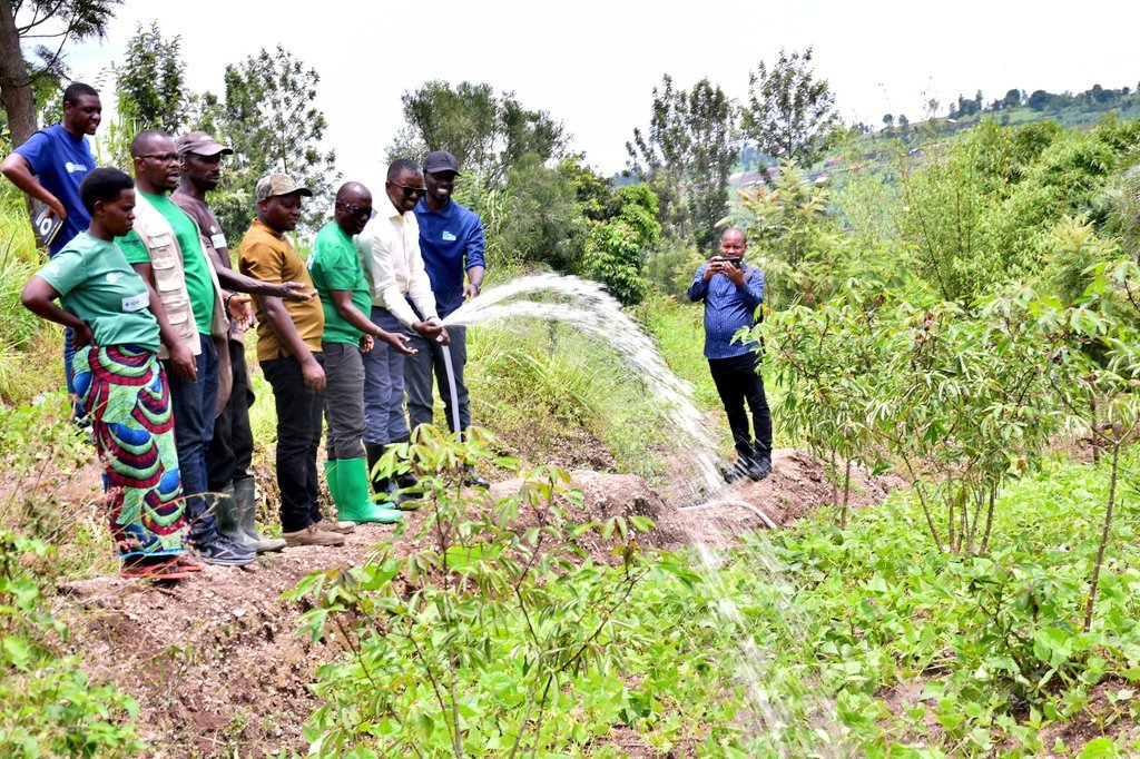 i Ndora ntibazongera gutegereza igihe cy'imvura: Abahinzi ba Ndora bungutse uburyo bwo kuhira